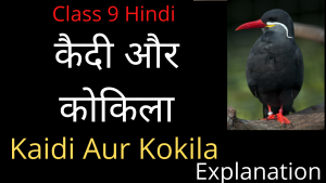 Kaidi Aur Kokila Class 9 Summary