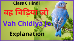 Vah Chidiya Jo Class 6 Explanation