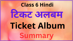 Ticket Album Class 6 Summary