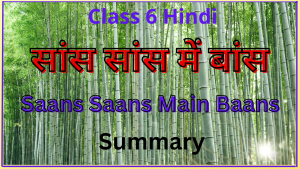 Saans Saans Main Baans Class 6 Summary