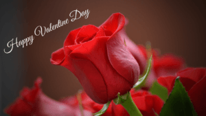 Valentine Day
