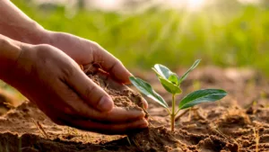 World Environment Day