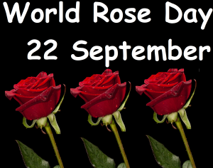 वर्ल्ड रोज डे (World Rose Day) क्यों मनाया जाता है