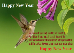 Why Do We Celebrate New Year