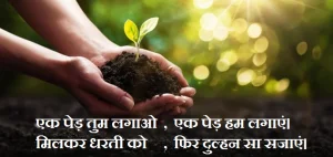 World Environment Day Quotes