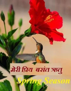 Essay on My Favourite Season (Spring season) in Hindi Essay on My Favourite Season (Spring season) in Hindi