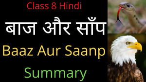 Baaz aur Saanp Class 8 Summary 