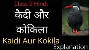 Kaidi Aur Kokila Class 9 Explanation