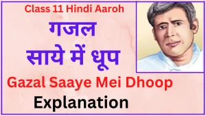 Gazal Class 11 Explanation