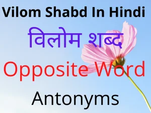 Vilom Shabd In Hindi