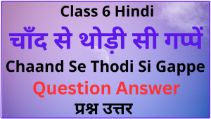 Chaand Se Thodi Si Gappe Class 6 Question Answer