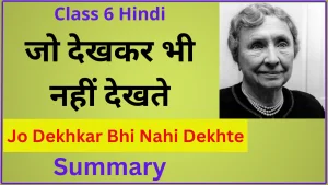 Jo Dekhkar Bhi Nahi Dekhte Class 6 Summary